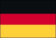 world flag